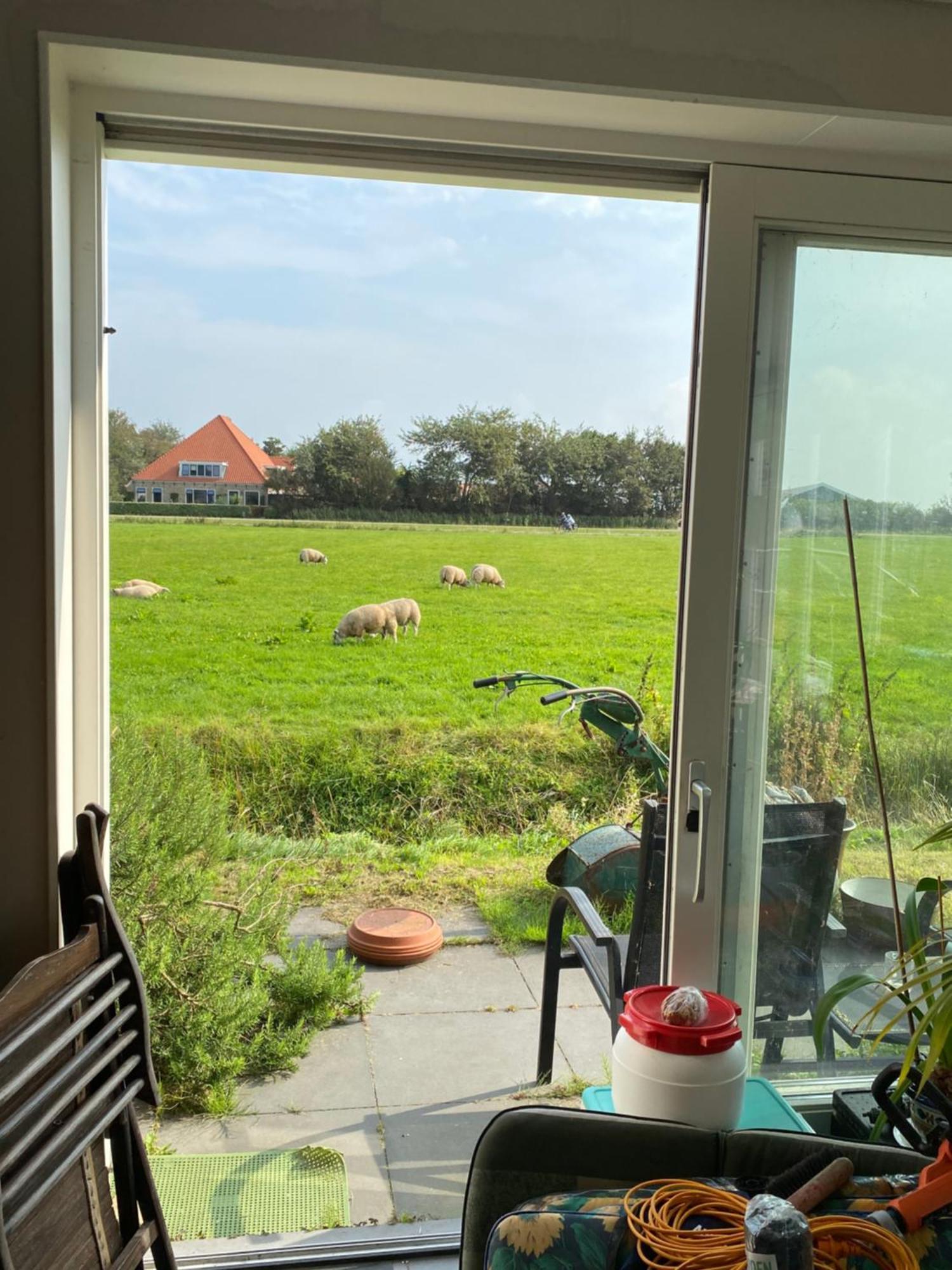 Oomes Huus Haestens And Koffie Den Hoorn  Eksteriør bilde