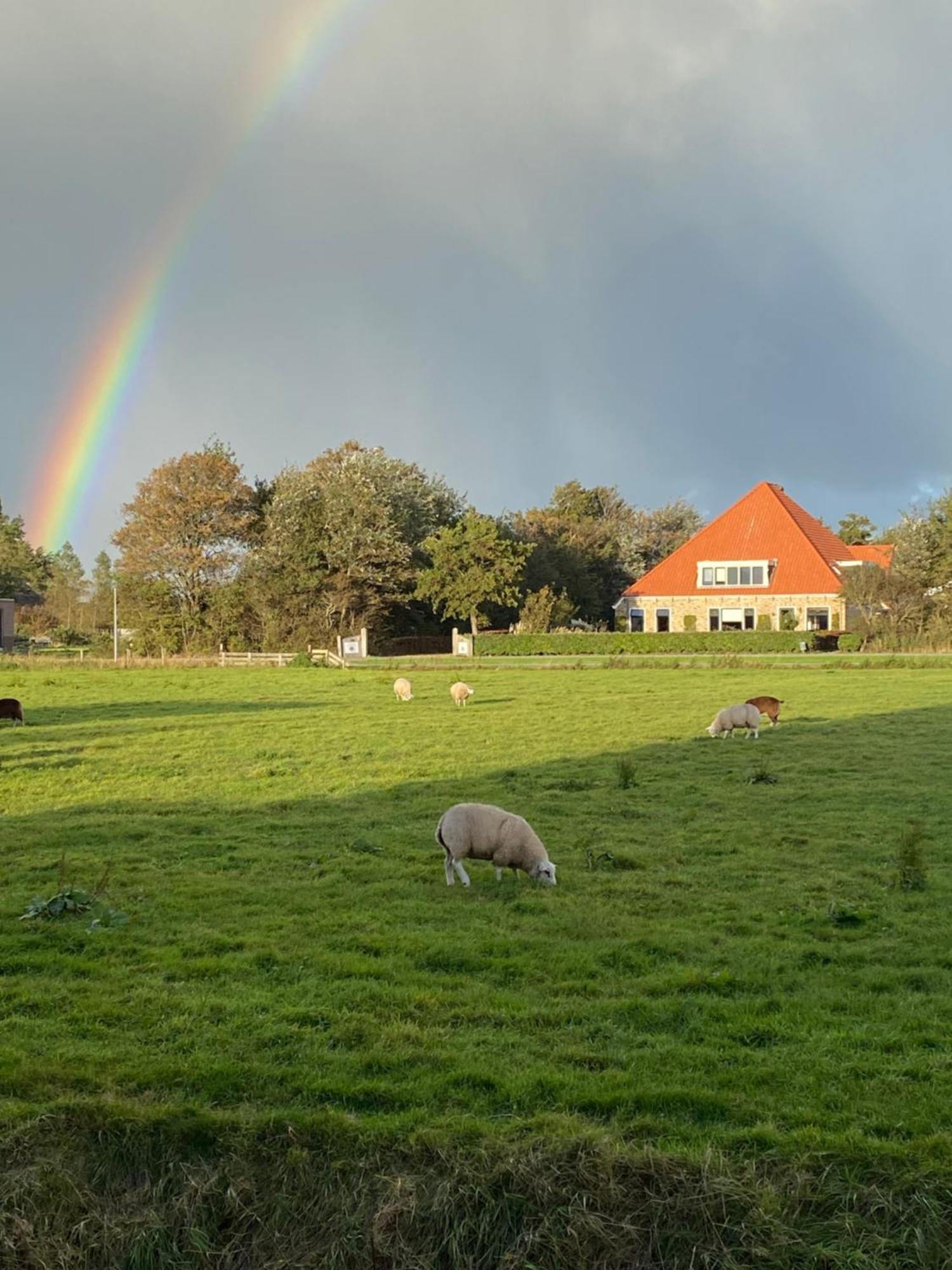 Oomes Huus Haestens And Koffie Den Hoorn  Eksteriør bilde