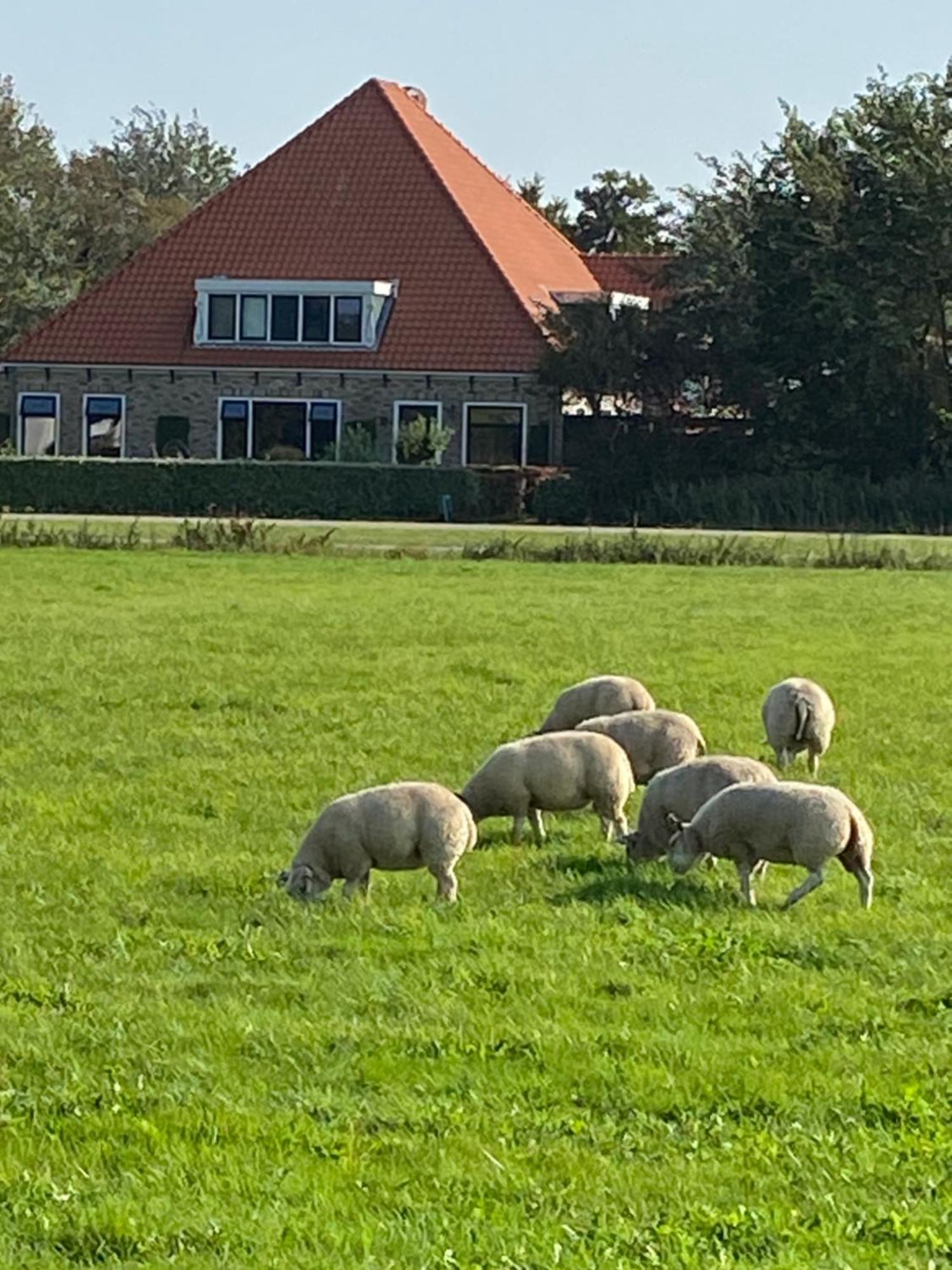 Oomes Huus Haestens And Koffie Den Hoorn  Eksteriør bilde