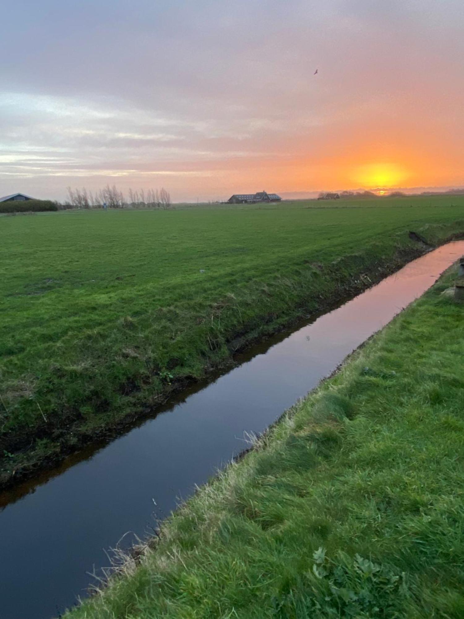 Oomes Huus Haestens And Koffie Den Hoorn  Eksteriør bilde